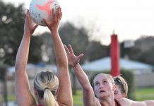 Dogs and Dees do battle