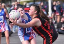 Cats silence Bulldogs’ bark