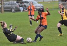 Centrals return to form