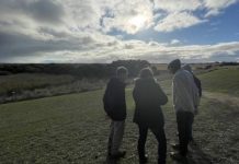 Bool Lagoon frogs investigated in unusual mortality event