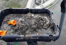 South East sewer wipe out