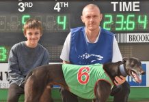 Enigmatic greyhound and trainer combine for top win