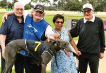 ‘Rookie’ trainer doing well with littermates