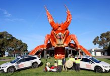 Larry the Lobster is gold