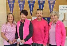 Pink balls for charity