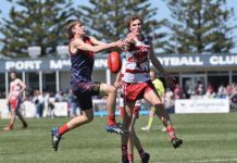 Roosters crow after impressive win