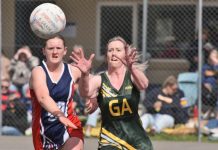 Mozzies claim tough contest