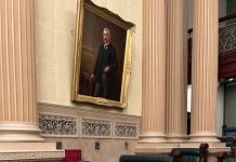 MP backs medicinal cannabis call