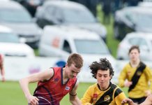 Tigers too strong in preliminary bout