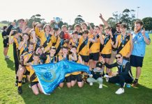 Tigers roar to life when it counted