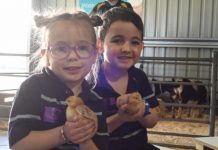 High school students lead the way