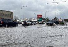 UniSA study checks-in on farmers’ wellbeing post flood disaster