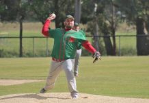 Tigers in a world of hurt