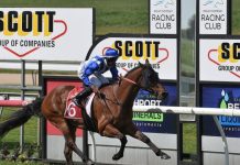 Rocky path to Melbourne Cup