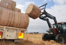 Growers to benefit from hay trade deal