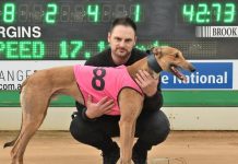 Adelaide trainer’s win boosts latest ‘Chase for Charity’