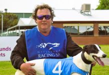 Riding home a winner at the dogs