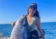 Sharks takes a bite out of prized tuna