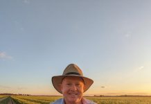 Hay market exceeds expectations