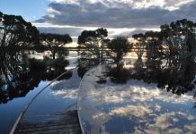 McBride praises national parks