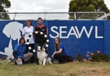 A day out for dogs this December