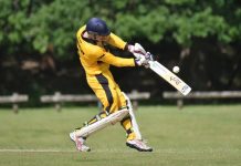 Tigers batsmen put in gutsy effort