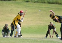 Tigers up for the challenge