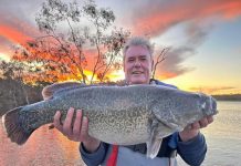 Conditions on the improve