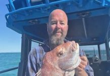 Sunshine and snapper