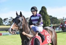 Onwards and upwards for Delcredere