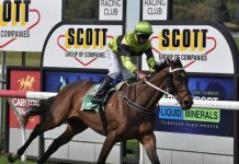 Rides and winners still in abundance