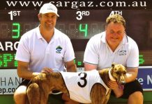 Tigger’s Run teaches rivals a lesson