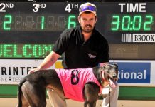 Husband and wife training team chasing first local feature win