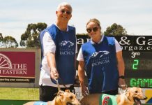 Cup winner’s progeny off to a flying start