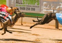 Abbott chasing a change of luck in upcoming classic