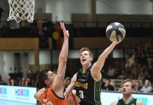 Shelley back for another stint