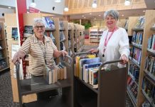 Volunteer plan endorsed