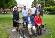 City to come alive in summer