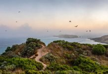 A win for Naracoorte Photographer