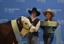 Show success for Grant