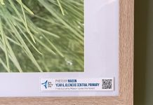 Forest photography on display