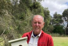 Boxes to help bird populations thrive