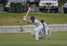 Roller-coaster contest