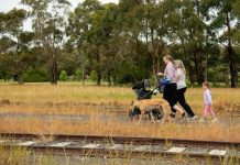 Talking cat and dog plan