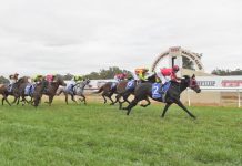 At the top of his mark