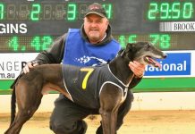 Peckham chasing another Christmas Cup