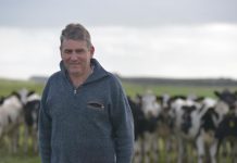 New board for Dairy Australia