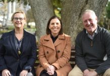 Cross Border Commissioner steps down