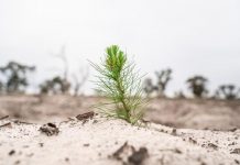 Workshop promotes soil health