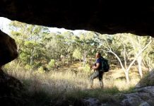 Tourism business walks forward after funding